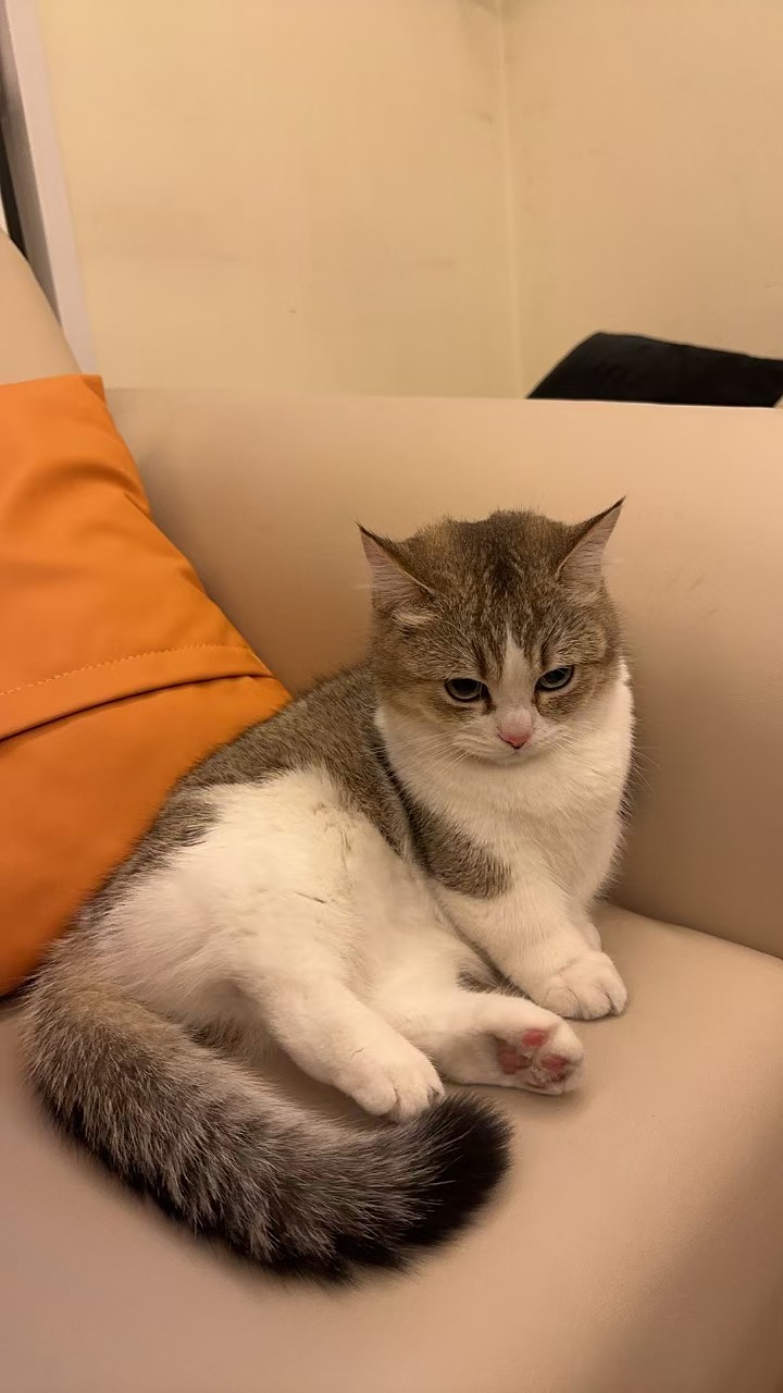 Bowing head in thought